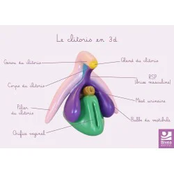 Carte anatomique Clitoris...