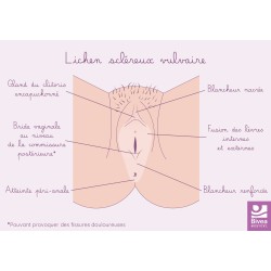 Carte anatomique Lichen...