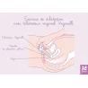 Schéma exercice de dilatation avec le dilatateur vaginal Vagiwell