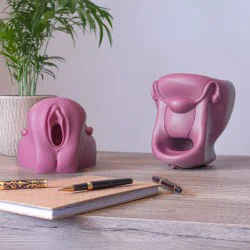 Modèle anatomique de Vagin + Vulve en silicone