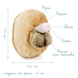 Modèle anatomique de pénis petit "enfant"en peluche