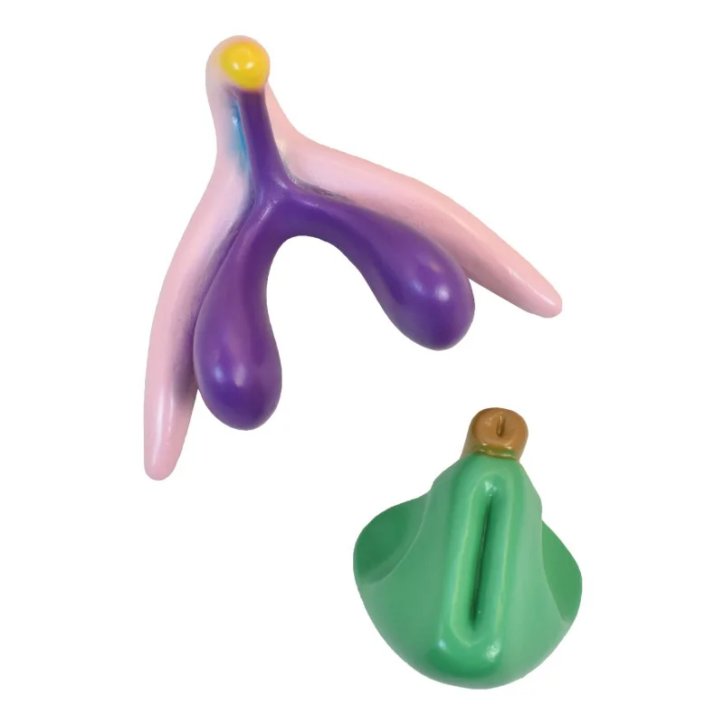 Clitoris en PVC 3D en deux partie