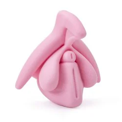 Location Modèle éducatif anatomie du clitoris en 3D