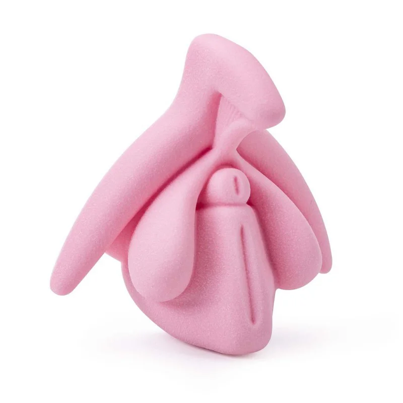 Location Modèle éducatif anatomie du clitoris en 3D