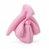 Location Modèle éducatif anatomie du clitoris en 3D