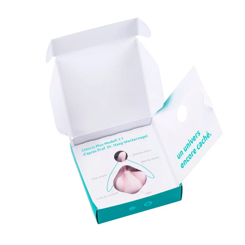 Location Modèle éducatif anatomie du clitoris en 3D