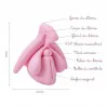 Location Modèle éducatif anatomie du clitoris en 3D