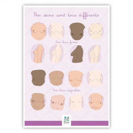 Poster A4 illustration Nos seins sont tous différents