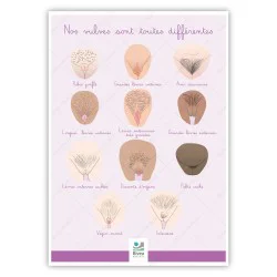 Poster A4 illustration nos vulves sont toutes différentes