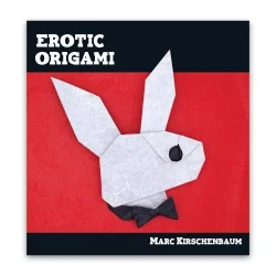 Location Livre Erotic origami