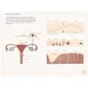 Location Livre Manuel pour une fertilité émancipée Location Livre Manuel pour une fertilité émancipée