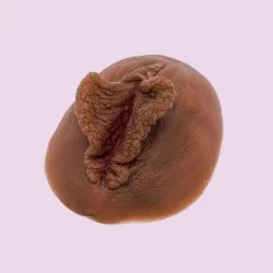 Location Vulve Papillon en silicone foncé