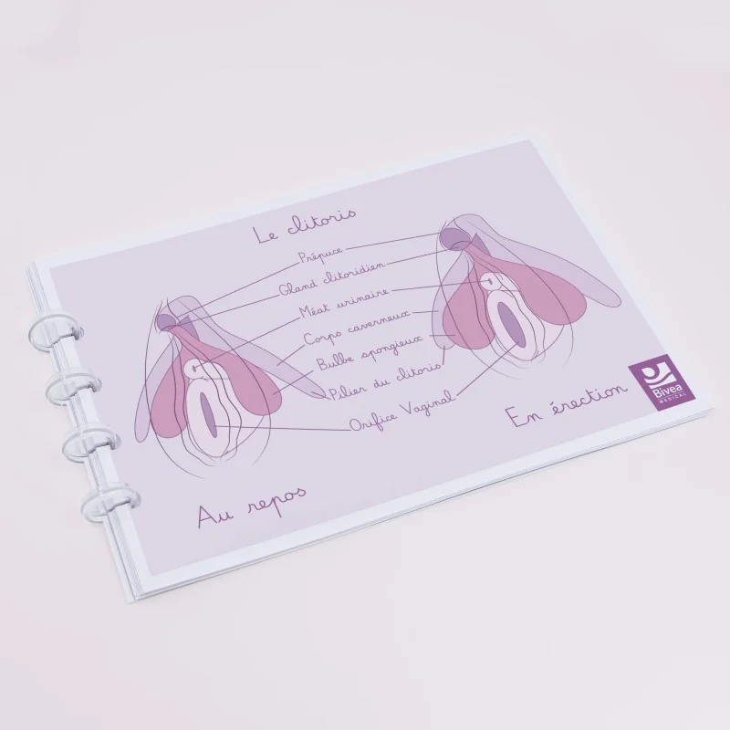 Le petit carnet de l'anatomie féminine Le petit carnet de l'anatomie féminine