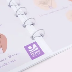 Le petit carnet de l'anatomie féminine