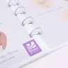 Le petit carnet de l'anatomie féminine Le petit carnet de l'anatomie féminine