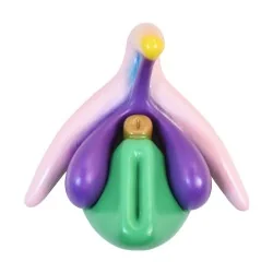 Modèle anatomique Clitoris...