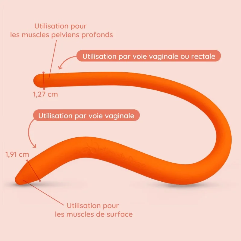 Baguette pelvienne pliable Baguette pelvienne pliable