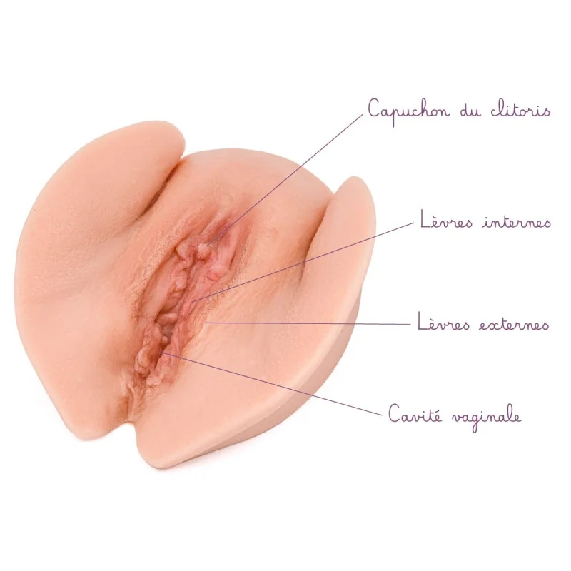 Location Vulve mutilée en silicone