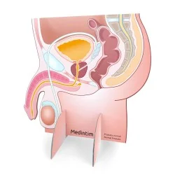 Représentation du bassin...