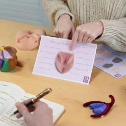 Carte anatomique Vulve avec...