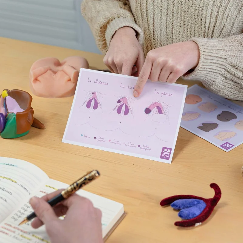 Carte anatomique Clitoris Dicklit Pénis Carte anatomique Clitoris Dicklit Pénis