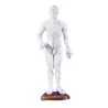 Modèle d'acupuncture chinoise, masculin, 50 cm Modèle d'acupuncture chinoise, masculin, 50 cm