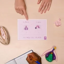 Carte anatomique Clitoris...