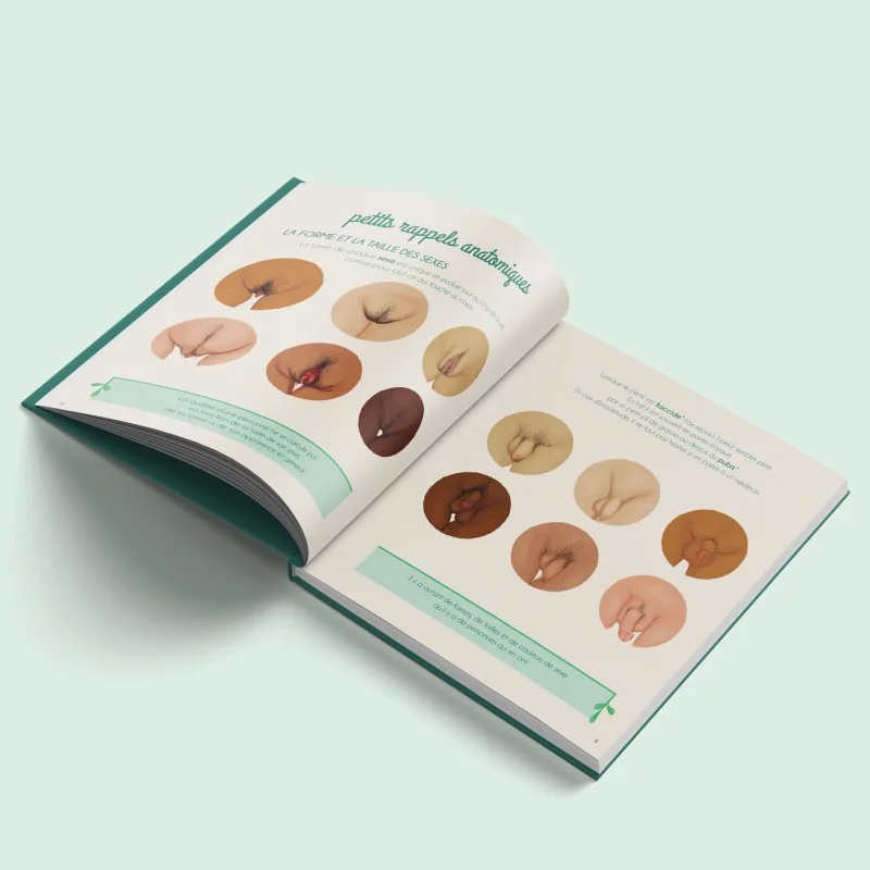 Livre Le petit illustré de l'intimité tome 4