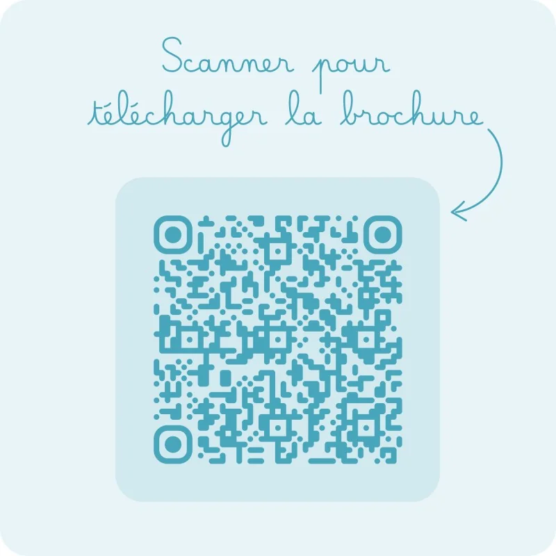 Brochure Singa Brochure Singa