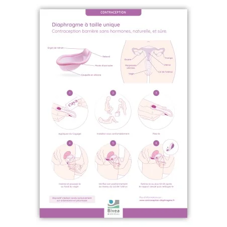 Poster A4 diaphragme Caya