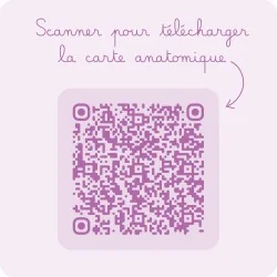 Carte utilisation anneaux péniens Bumpi