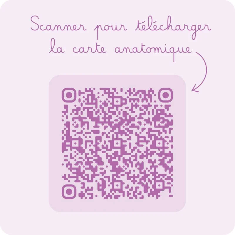 Carte utilisation anneaux péniens Bumpi