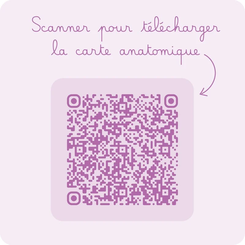 Carte utilisation anneaux péniens Bumpi Carte utilisation anneaux péniens Bumpi