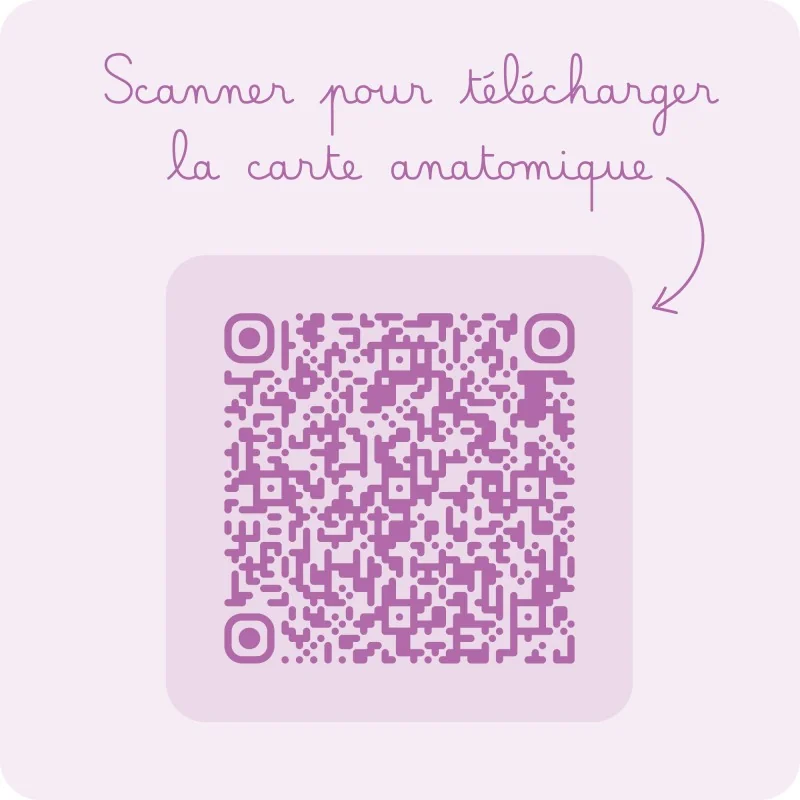 Carte utilisation pessaire Efemia Carte utilisation pessaire Efemia