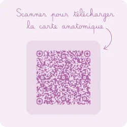 Carte anatomique Exercice de dilatation avec dilatateur vaginal Vagiwell