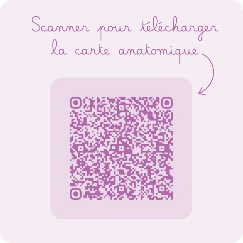 Carte anatomique Exercice de dilatation avec dilatateur vaginal Vagiwell Carte anatomique Exercice de dilatation avec dilatateur vaginal Vagiwell