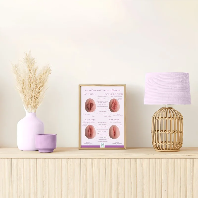 Poster Nos vulves sont toutes différentes Poster Nos vulves sont toutes différentes