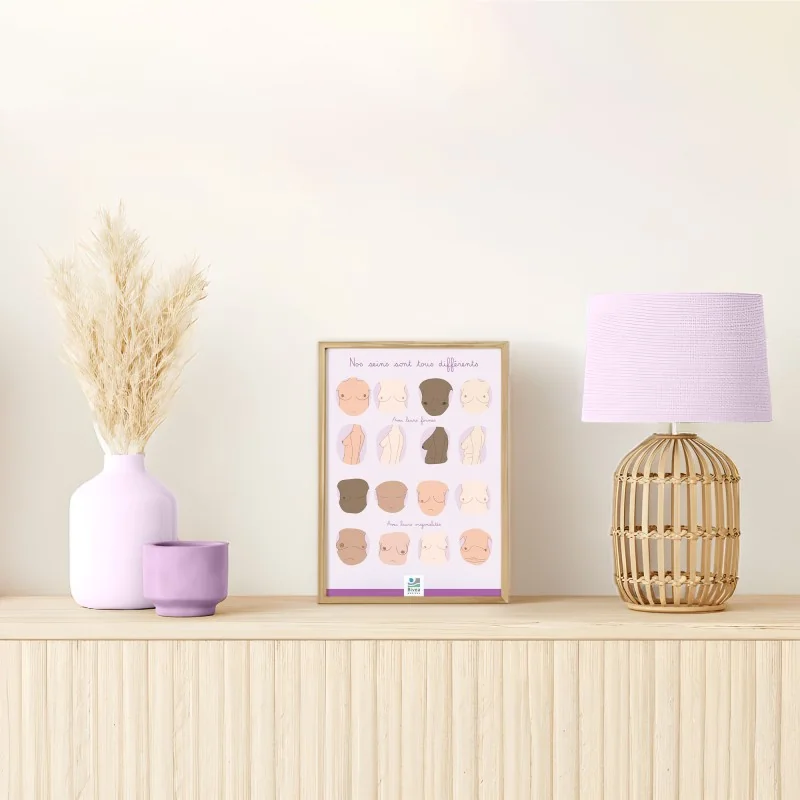 Schéma anatomique Nos seins sont tous différents