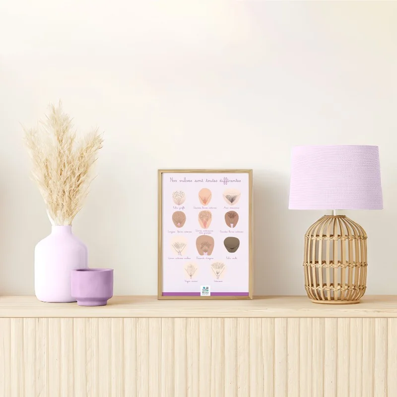 Schéma anatomique Nos vulves sont toutes différentes