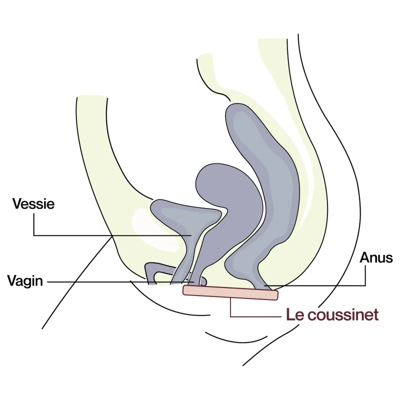 Culotte de soutien réduisant les fuites urinaires