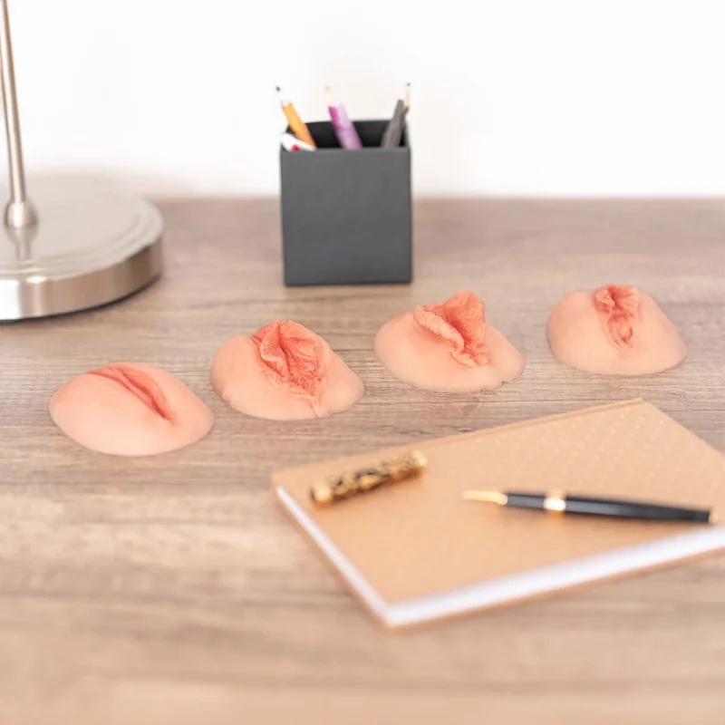 Lot de 4 vulves anatomiques en silicone