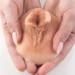 Lot de 4 vulves anatomiques en silicone