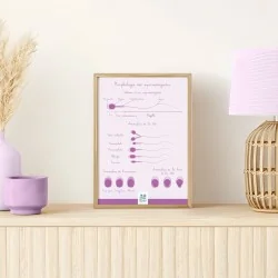 Schéma anatomique...