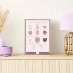 Schéma anatomique Nos...