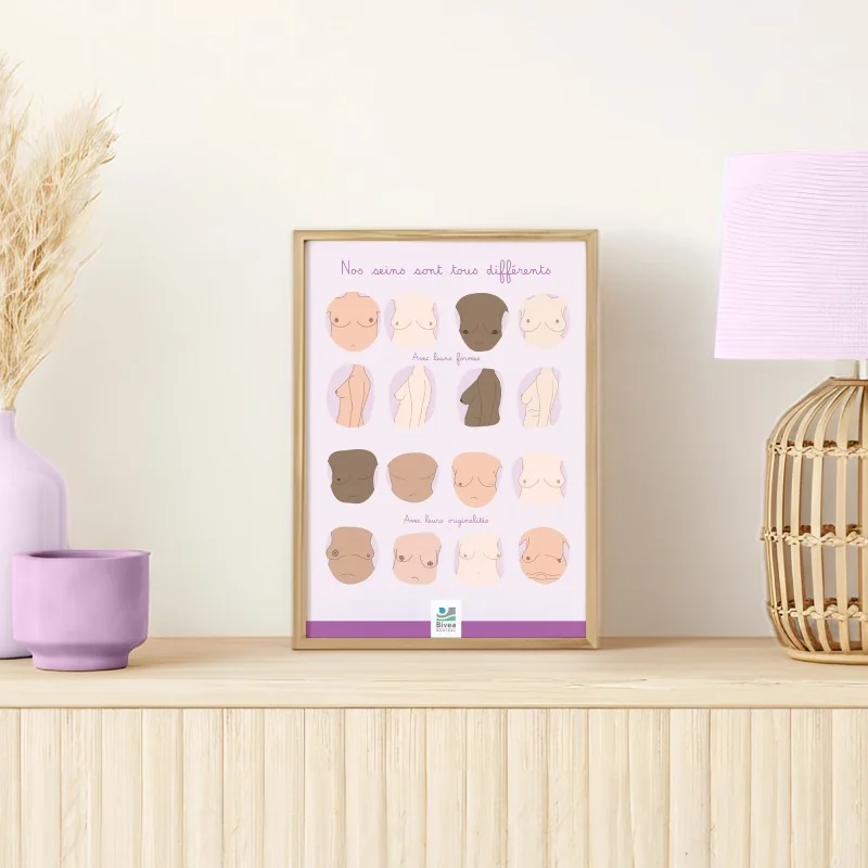 Schéma anatomique Nos seins sont tous différents