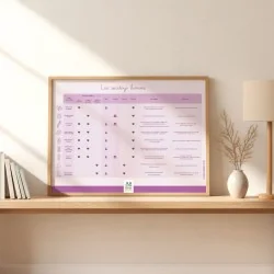 Tableaux des différents types de sextoys féminins et masculins