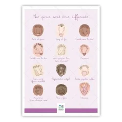 Schéma anatomique Nos pénis sont tous différents