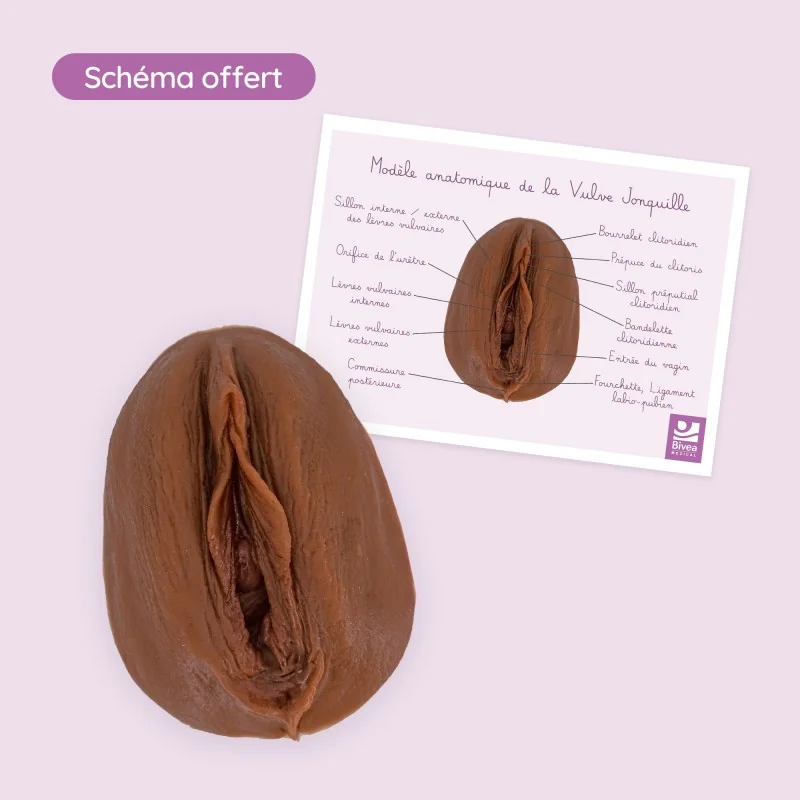 Vulve Jonquille en silicone foncé