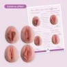 Lot de 4 vulves anatomiques en silicone