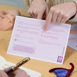 Schéma les différentes courbes de l'excitation génitale